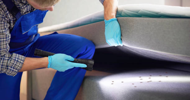Professional Pest Control in North New Hyde Park, NY